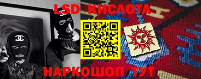 прущие грибы Будённовск