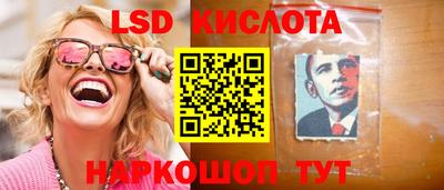 прущие грибы Будённовск