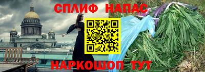 прущие грибы Будённовск
