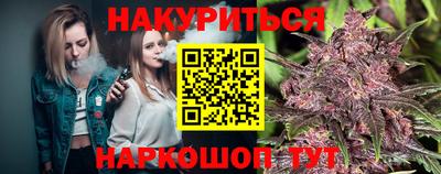 прущие грибы Будённовск