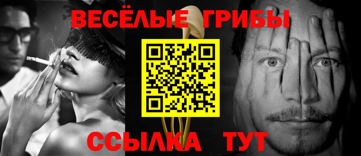 Новороссийск  Псилоцибиновые грибы мухоморы  Псилоцибиновые грибы GOLDEN TEACHER  Вход с VPN 